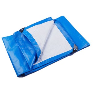 Manufactur standard Laminated Woven Bags - PE Tarpaulin – LGLPAK