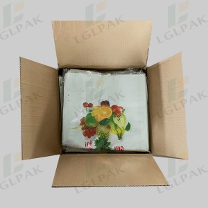 Multi color Printing Shopping printing shopping grocery Bag-CARTON