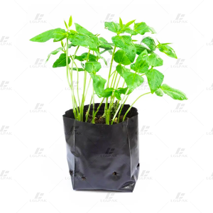 Plastic Punching Planting Bag