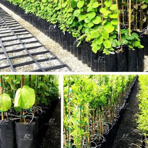 Plastic Punching Planting Bag