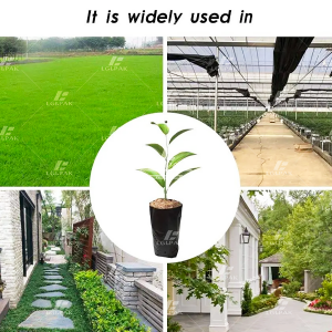 Plastic Punching Planting Bag